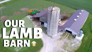 WE RENOVATED AN OLD PIG BARN! (A tour of our lamb barn 2020): Vlog 258