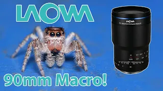 Laowa 90mm f/2.8 2x Macro Lens Review using the Sony a6700