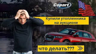 Утопленник - самое страшное, что может быть. Купили авто из США Audi Q5 для клиента.