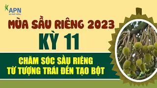 APN - QUY TRÌNH CHĂM SÓC SẦU RIÊNG TỪ TƯỢNG TRÁI ĐẾN TẠO BỘT