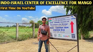 INDO ISRAEL CENTER OF EXCELLENCE FOR MANGO | Indo Israel Agriculture project Basti Uttar Pradesh |