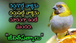 జీవిత సత్యాలు #119 |మంచి మాటలు|Inspirational quotes|Motivational quotes|సూక్తులు|Telugu quotes