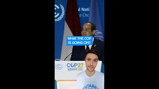 What You Need To Know About COP27 and COP15
