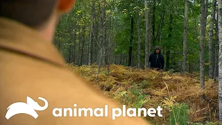 Is This Michigan Town Sasquatch’s Perfect Home? | Finding Bigfoot | Animal Planet