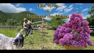 Homemade Lilac Syrup & Traditional Hay Making, Village Life in Bucovina, Romania