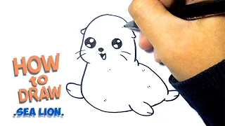 How to Draw sea Lion | Easy Drawing