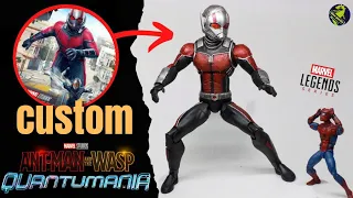 Custom Ant man (Antman and the wasp Quantumania ) Marvel Legends