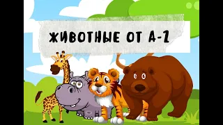 Животные от А-Z #videouroki #zoo