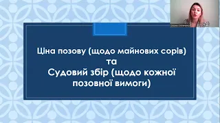 Написання позову, та інших заяв по суті.