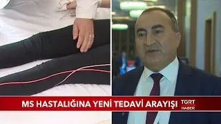 MS Hastalığına Yeni Tedavi Arayışı