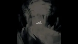 Josh Makazo - Numb (Official Lyric Video)