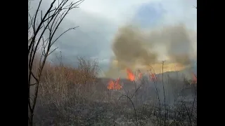 Požar otvorenog prostora 07.02.2022