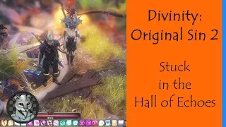 ✅ Stuck in the Hall of Echoes in Divinity: Original Sin 2?