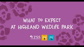 Plan your visit! What to expect at Highland Wildlife Park | Royal Zoological Society of Scotland