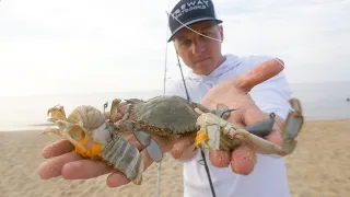 How to Rig a Blue Crab - All Popular Rigs for Giant Fish and More Fish!