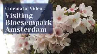 Cinematic Video | Cherry Blossom Sakura Park Amsterdam | Hanami Sakura