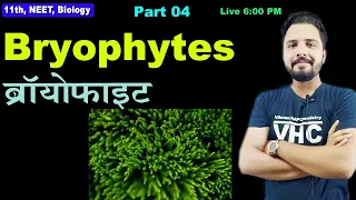 Part 04 Bryophytes 11th Biology