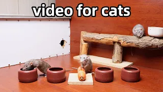 Cat TV for Cats to Watch🐭cat games on screen🐭Rats Hide and seek🐭