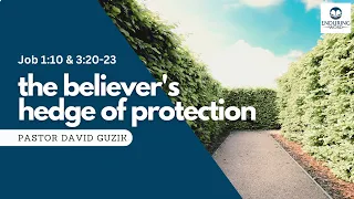 The Believer's Hedge of Protection — Job 1:10 & 3:20-23