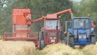 Volvo BM 430 harvesting spring Barley w/ Deutz-Fahr M66TS Combine Harvester | Harvest 2020 | DK Agri