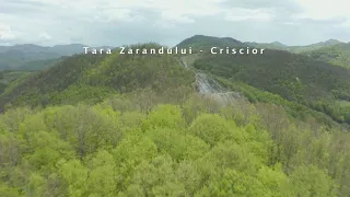 Tara Zarandului   Criscior