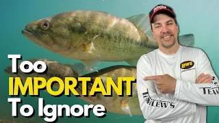 Consider THIS when Choosing Where to Start Bass Fishing