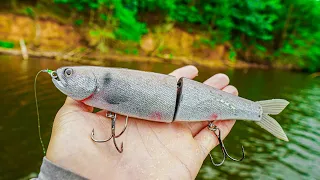 Fishing Rare & Expensive Swimbaits Pay Off With BIG BASS and Unexpected Catch || Swimbait Sessions 1