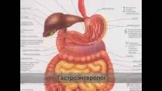 Гастроэнтеролог