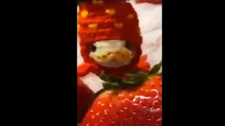 Owner Styled His Baby Snake With A Cute Strawberry Knit Hat