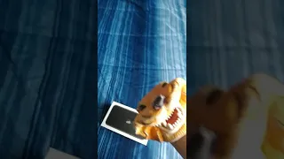 TIGER PUPPET GETS BAMBOOZLED