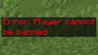 These Minecraft accounts couldn't be banned...