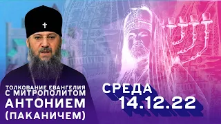 Толкование Евангелия с митр. Антонием (Паканичем). Среда, 14 декабря 2022 года.