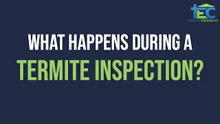 Termite Inspection - What To Look For