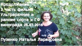 3 часть фильма от 25.07.2016 - Сорта и ГФ винограда на участке Пузенко Натальи Лариасовны