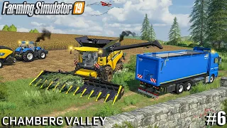 Harvesting Sunflowers + BIG Profit | Farming on Chamberg Valley | Farming Simulator 19 |Episode 6