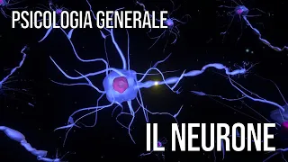 Psicologia Generale (PF24) - Il neurone