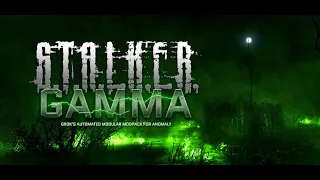 100 days In Stalker Anomaly! - GAMMA