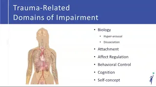 BSB TN Lunch & Learn: Movement as Medicine