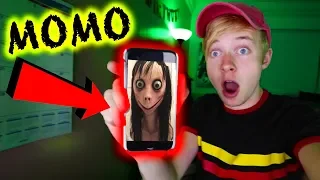 THE MOMO CHALLENGE (Hoax or Real?) | 3AM CHALLENGE | Sam Golbach