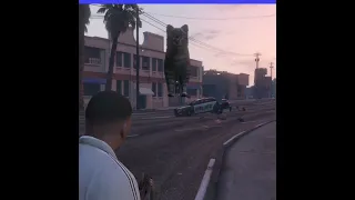 GTA V Cat Gun