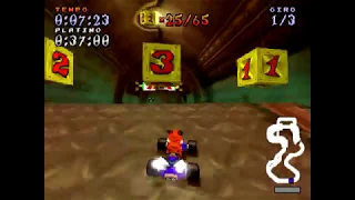 Crash Team Racing "102%" - Pura - All Platinum Relics