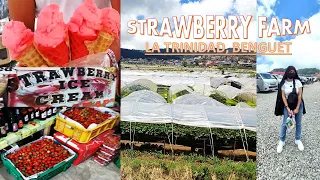La Trinidad, Benguet's Strawberry Farm + Transient House Tour//miss nitsirk vlogs