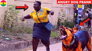😂😂😂WHAT A SCATTER! Fake Angry Dog Prank!