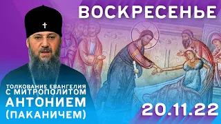 Толкование Евангелия с митр. Антонием (Паканичем). Воскресенье,  20 ноября 2022 года