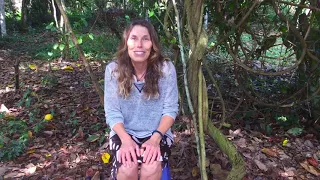 Ayahuasca healing testimonial at AYA Healing Retreats