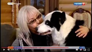 Yakutian Laika on Russia TV