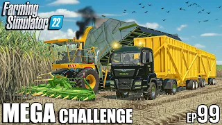 Sugarcane HARVEST and LOAD with KRONE BUTCHER | MEGA Challenge | Farming Simulator 22 #99