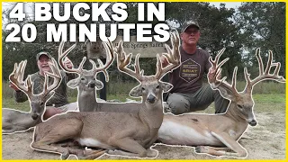 Four MONSTER Bucks in 20 MINUTES!