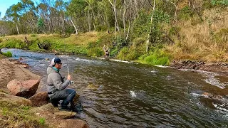 Cobungra River Brown and Rainbow Trout | Fly Fishing | Victoria, Australia