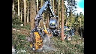 🌲4K|*KingLogger* • Ponsse ScorpionKing • fast logging • HarvesterAction • Forstbetrieb Hipp • Drone🌲